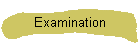Examination
