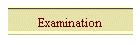 Examination