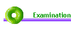 Examination
