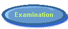 Examination